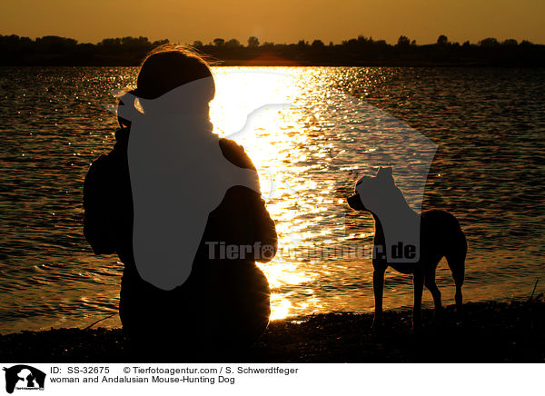 woman and Andalusian Mouse-Hunting Dog / SS-32675