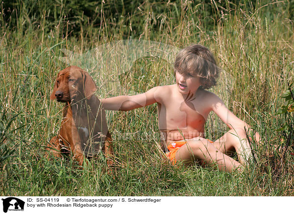 boy with Rhodesian Ridgeback puppy / SS-04119