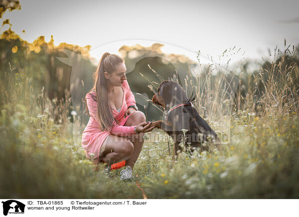 woman and young Rottweiler / TBA-01865
