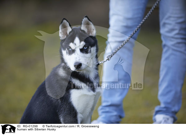 human with Siberian Husky / RG-01298