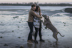 human with Weimaraner