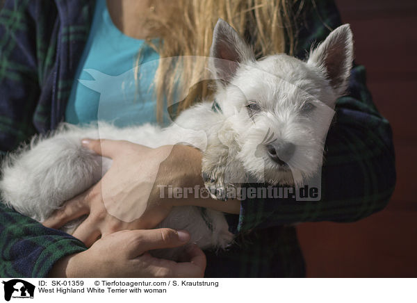 West Highland White Terrier with woman / SK-01359