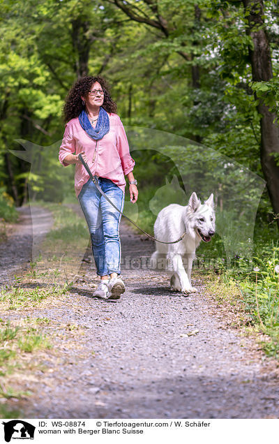 woman with Berger Blanc Suisse / WS-08874