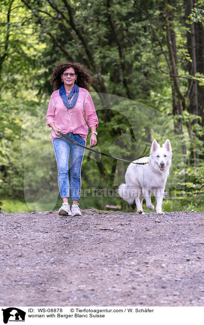 woman with Berger Blanc Suisse / WS-08878