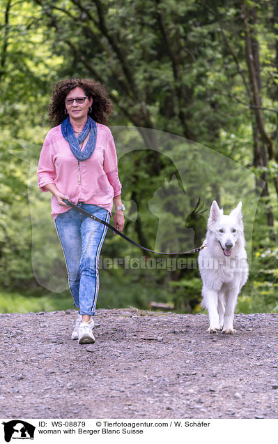woman with Berger Blanc Suisse / WS-08879