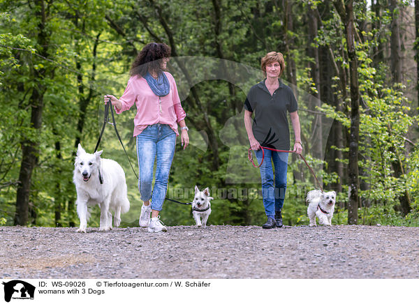 womans wtih 3 Dogs / WS-09026