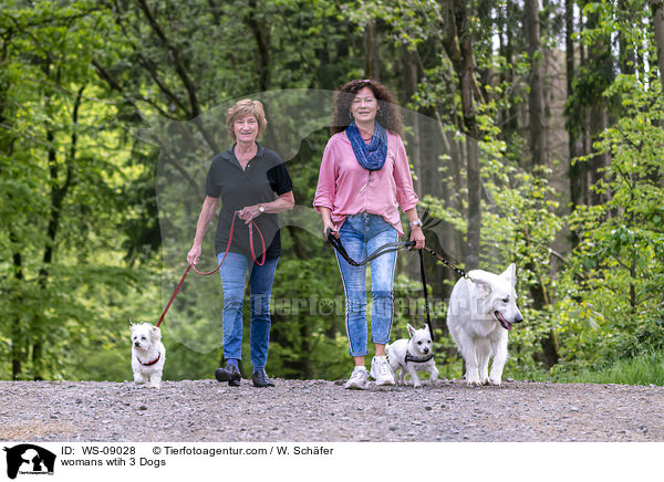 womans wtih 3 Dogs / WS-09028