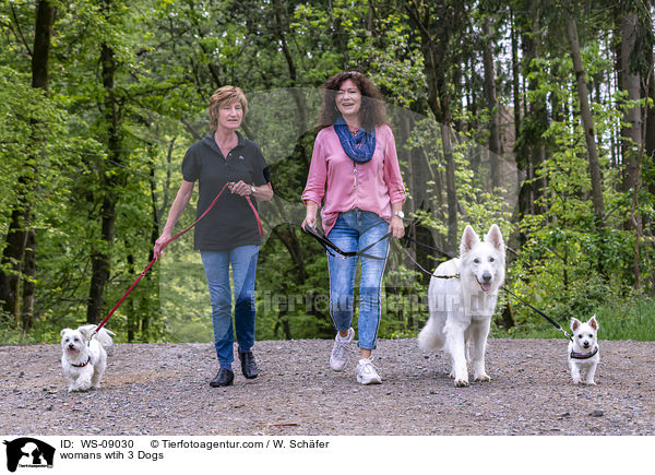 womans wtih 3 Dogs / WS-09030