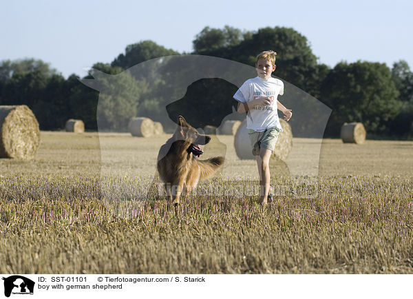 boy with german shepherd / SST-01101