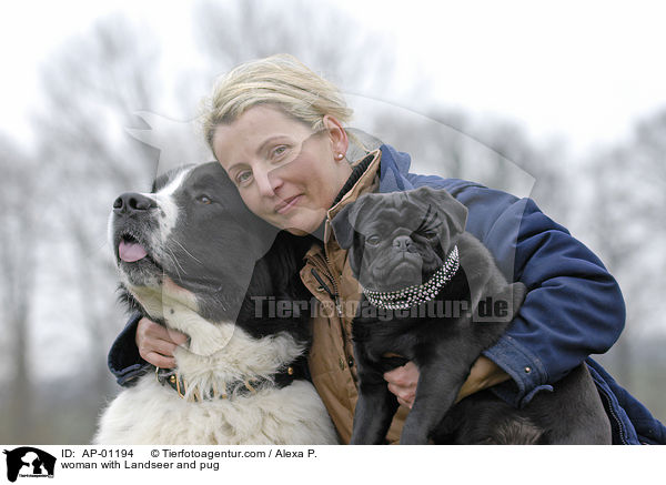 woman with Landseer and pug / AP-01194