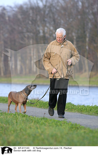 Senior walk with old dog / KF-01143