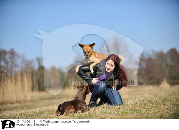 woman and 2 mongrels / YJ-06113