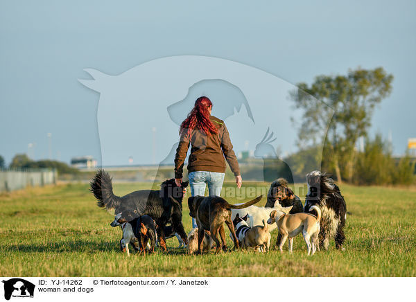 woman and dogs / YJ-14262