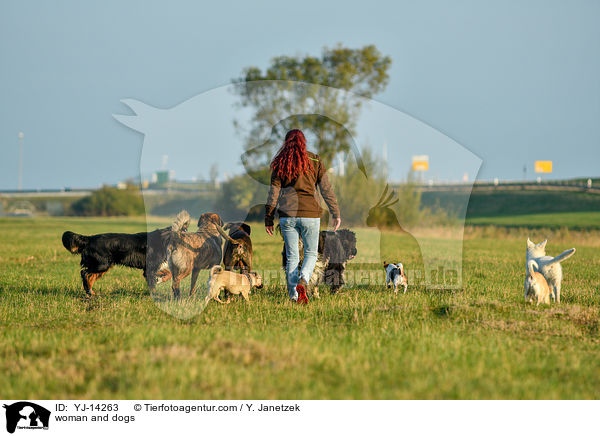 woman and dogs / YJ-14263