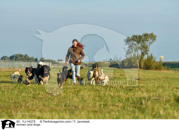 woman and dogs / YJ-14275