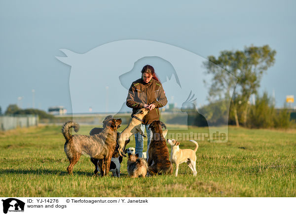 woman and dogs / YJ-14276