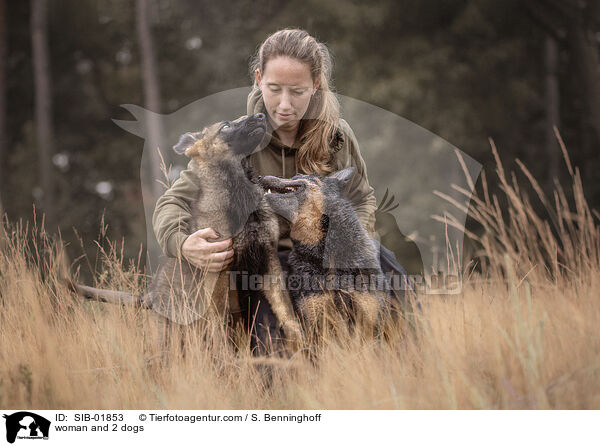 woman and 2 dogs / SIB-01853
