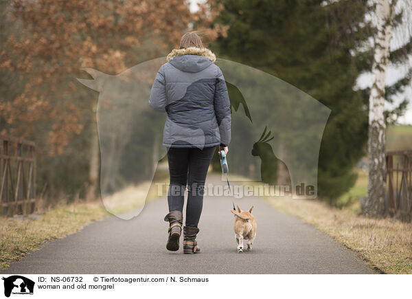 woman and old mongrel / NS-06732