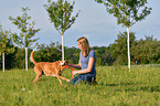 woman with Podenco-Mongrel
