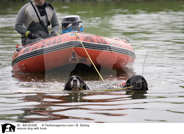 rescue dog with boat / BD-00395