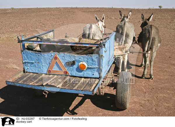 donkey cart / HJ-03287