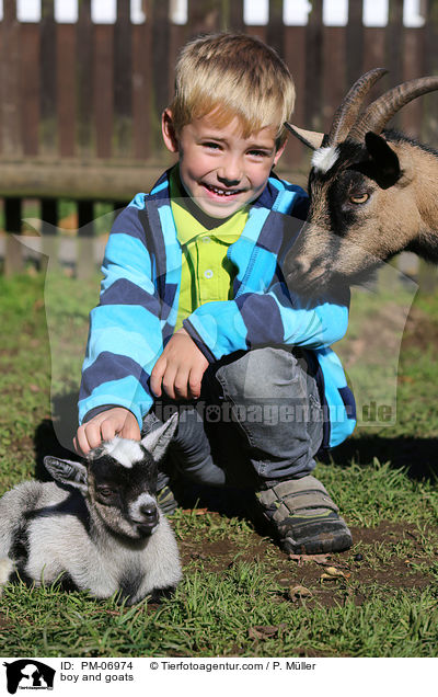 Junge und Ziegen / boy and goats / PM-06974