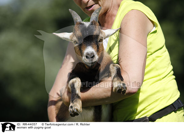 woman with pygmy goat / RR-44057