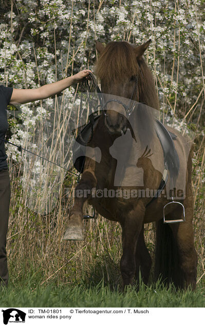 woman rides pony / TM-01801