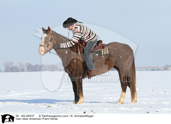 man rides American Paint Horse / SS-26537