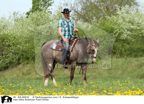man rides American Paint Horse / SS-26932