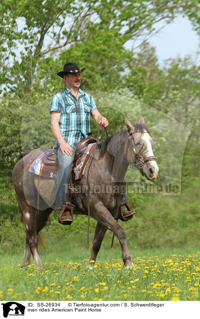 man rides American Paint Horse / SS-26934
