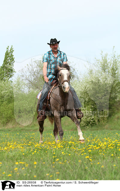 man rides American Paint Horse / SS-26938