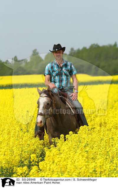 man rides American Paint Horse / SS-26946