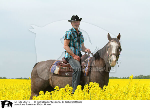 man rides American Paint Horse / SS-26948