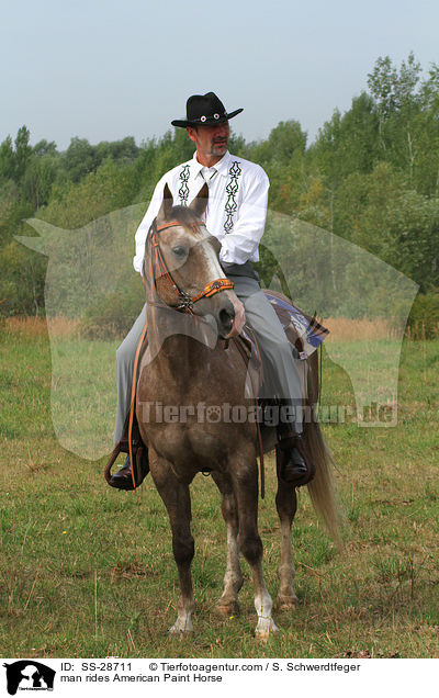 Mann reitet American Paint Horse / man rides American Paint Horse / SS-28711