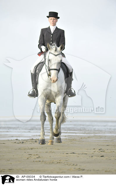 woman rides Andalusian horse / AP-09334