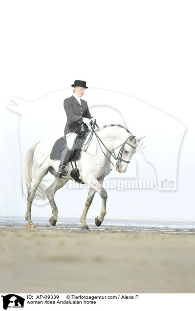 woman rides Andalusian horse / AP-09339