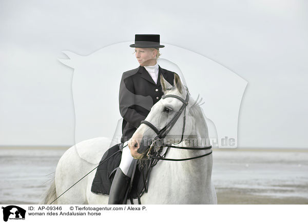 woman rides Andalusian horse / AP-09346