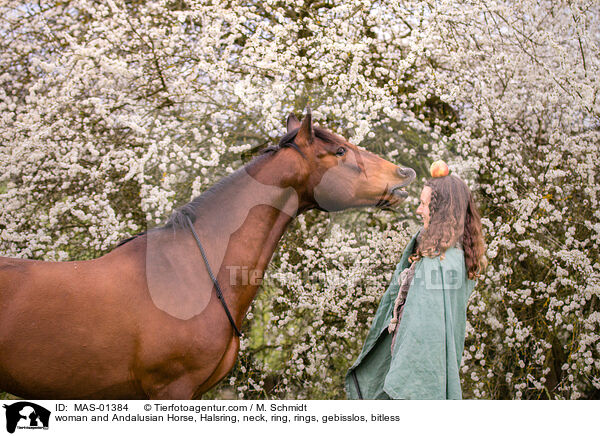 woman and Andalusian Horse, Halsring, neck, ring, rings, gebisslos, bitless / MAS-01384
