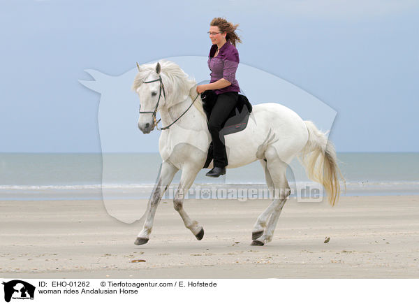 woman rides Andalusian Horse / EHO-01262