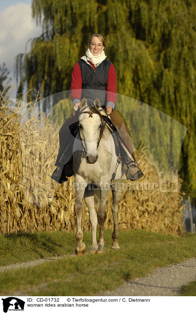 woman rides arabian horse / CD-01732