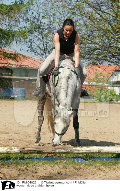 woman rides arabian horse / PM-04822