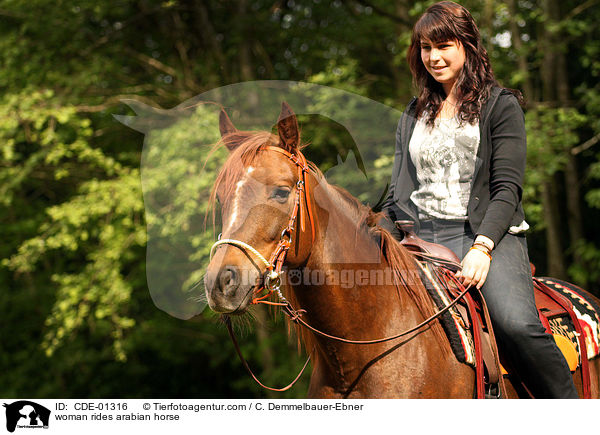 woman rides arabian horse / CDE-01316