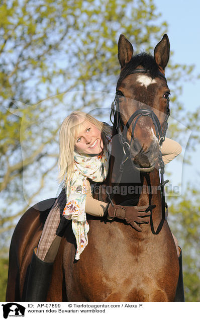 woman rides Bavarian warmblood / AP-07899