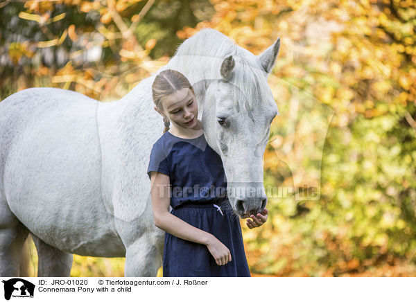 Connemara Pony with a child / JRO-01020