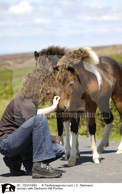 woman with Dartmoor Hill Ponies / CD-01660