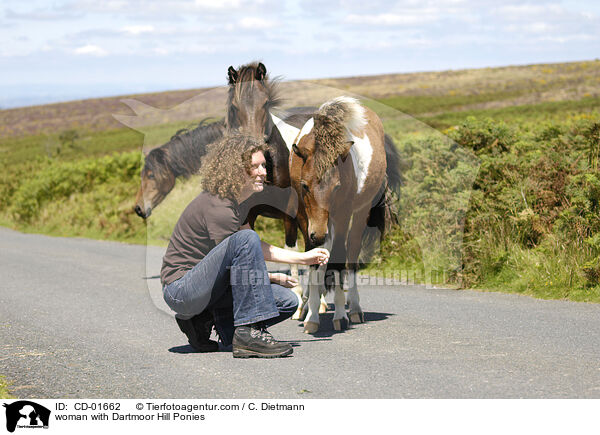 woman with Dartmoor Hill Ponies / CD-01662