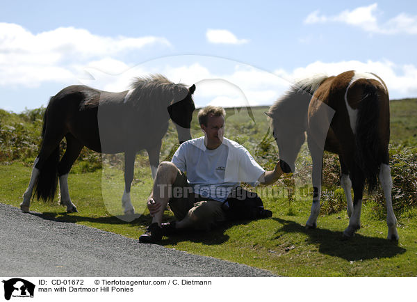 man with Dartmoor Hill Ponies / CD-01672