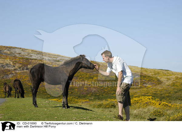 Mann mit Dartmoor Hill Pony / man with Dartmoor Hill Pony / CD-01690