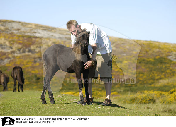 Mann mit Dartmoor Hill Pony / man with Dartmoor Hill Pony / CD-01694